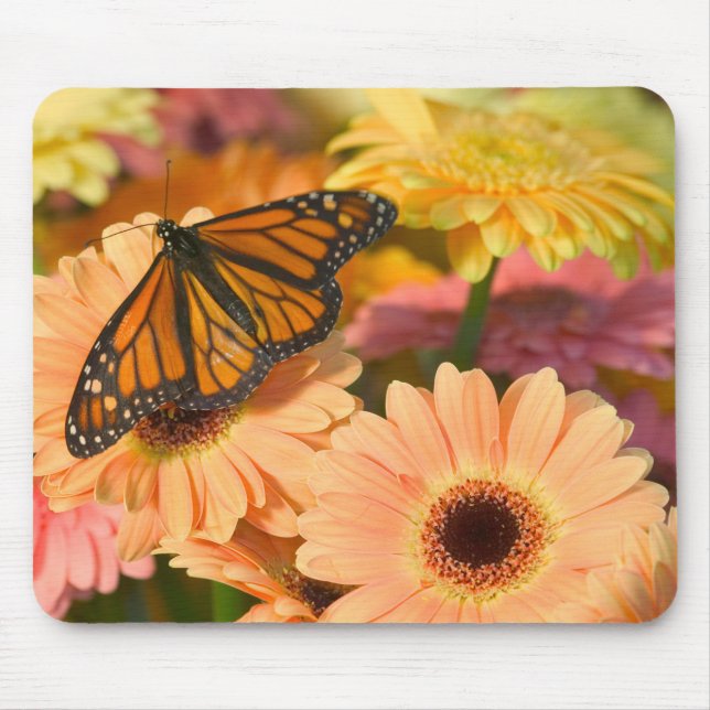 Ein beklagender Schmetterling Mousepad (Vorne)