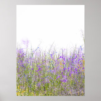 Ein Bereich lila Wildblumen Poster