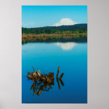 Ein Bergrestaub über einer Hecke