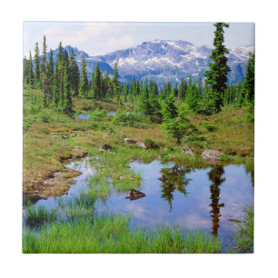 Ein Bergsee im Hinterland von Vancouver Island Fliese