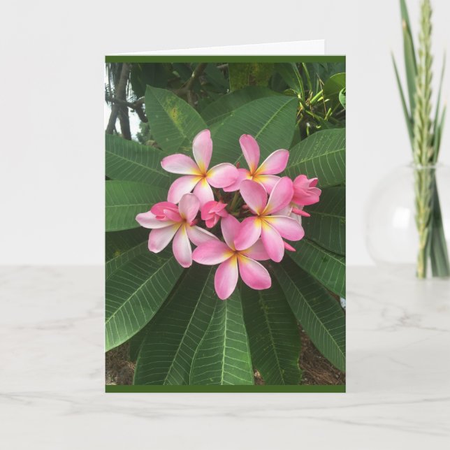 EIN *BESONDERER GEBURTSTAG* FÜR EINE *BESONDERE PE KARTE (Vorderseite)