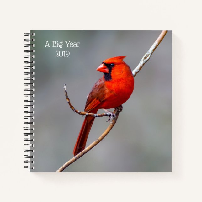 Ein Big Year Vogelbeobachtung Kardinal SpiralNoteb Notizbuch (Vorderseite)