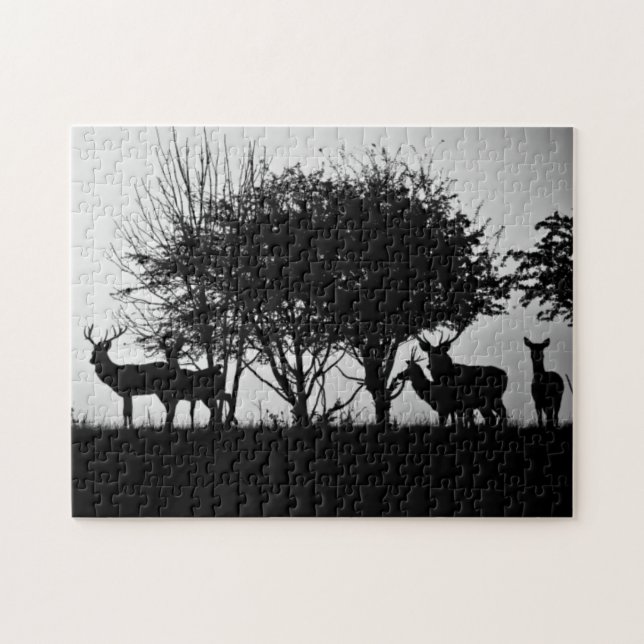 Ein Bild des Nebels einiger Rotwild morgens (Horizontal)