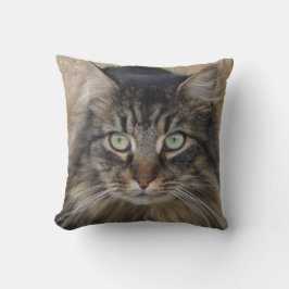 Ein Bild einer Tigerkatze mit wunderbarem Fell Kissen