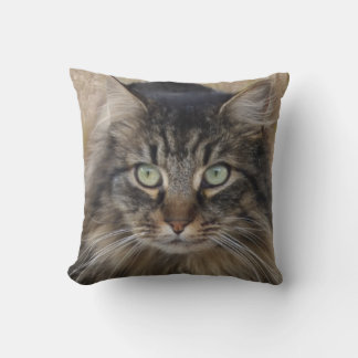 Ein Bild einer Tigerkatze mit wunderbarem Fell Kissen