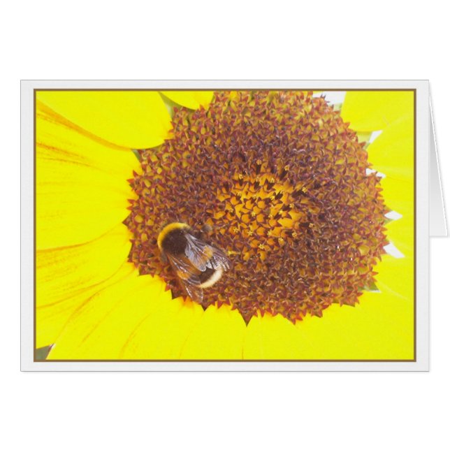 ein bischen  bumblebee (Vorderseite (Horizontal))