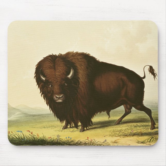 Ein Bison, c.1832 Mousepad (Vorne)