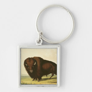 Ein Bison, c.1832 Schlüsselanhänger