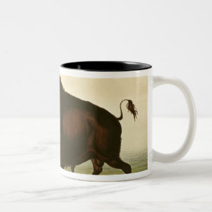 Ein Bison, c.1832 Zweifarbige Tasse