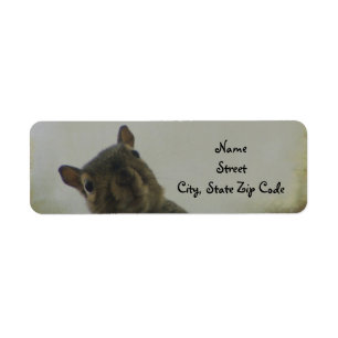 Ein bisschen irreführend