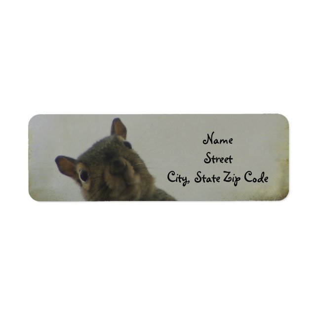 Ein bisschen irreführend (Vorne)