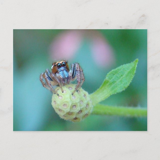 Ein bisschen Jumpy? Postkarte (Vorderseite)