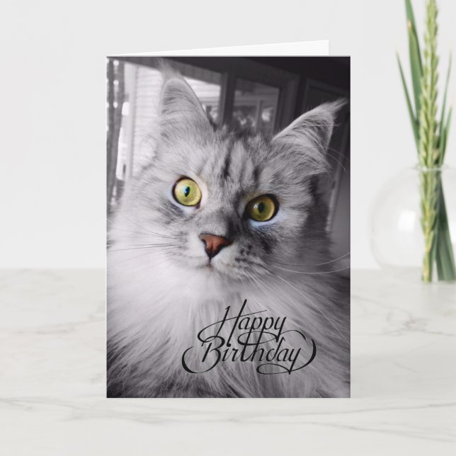 Ein bisschen Zauberkarte zum Geburtstag Karte (Vorderseite)
