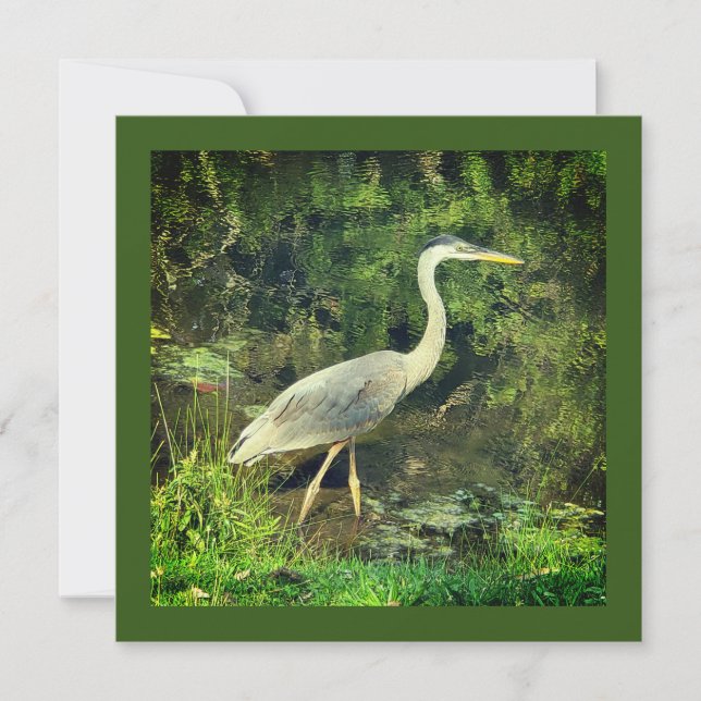 Ein blauer Held (Vorderseite)