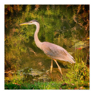 Ein blauer Held Poster