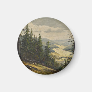 Ein Blick auf den Schwarzwald - Karl Julius Wilhel Magnet