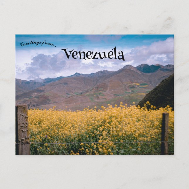 Ein Blick auf Mérida Venezuela Postkarte (Vorderseite)