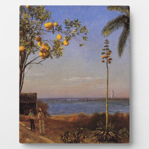 Ein Blick in die Bahamas von Bierstadt Albert. Fotoplatte