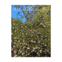 Ein blühender Valentinstag! Postkarte