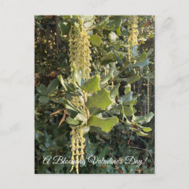 Ein blühender Valentinstag! Postkarte