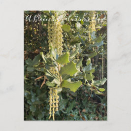 Ein blühender Valentinstag! Postkarte