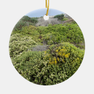 Ein blühendes Kalifornien: Asilomar Dunes Keramik Ornament