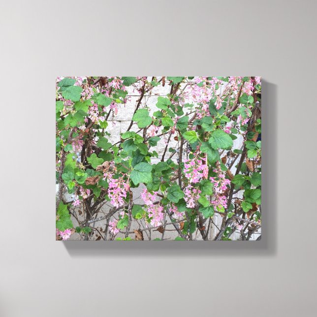Ein blühendes Kalifornien: Der Frühling in Rosa Leinwanddruck (Vorderseite)