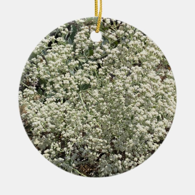 Ein blühendes Kalifornien: Die heilige Catherine's Keramik Ornament (Vorne)