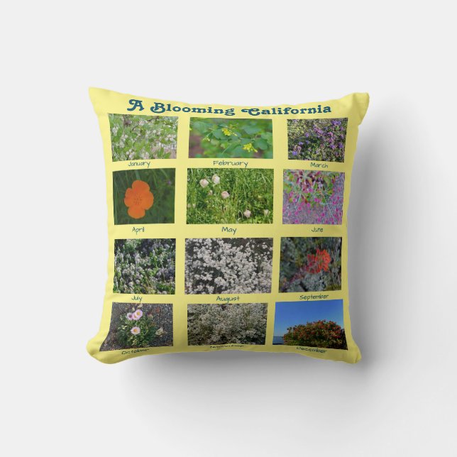 Ein blühendes Kalifornien Kissen (Vorderseite)