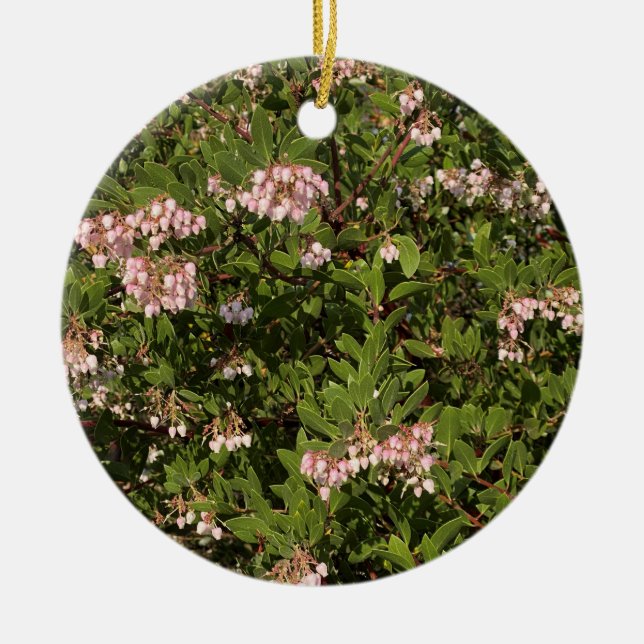 Ein blühendes Kalifornien: Manzanita Keramik Ornament (Vorne)