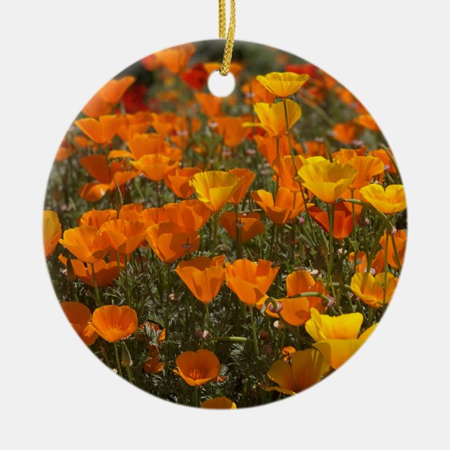 Ein blühendes Kalifornien: Pfeffer Keramik Ornament (Vorne)