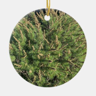 Ein blühendes Kalifornien: Sagebrush Keramik Ornament