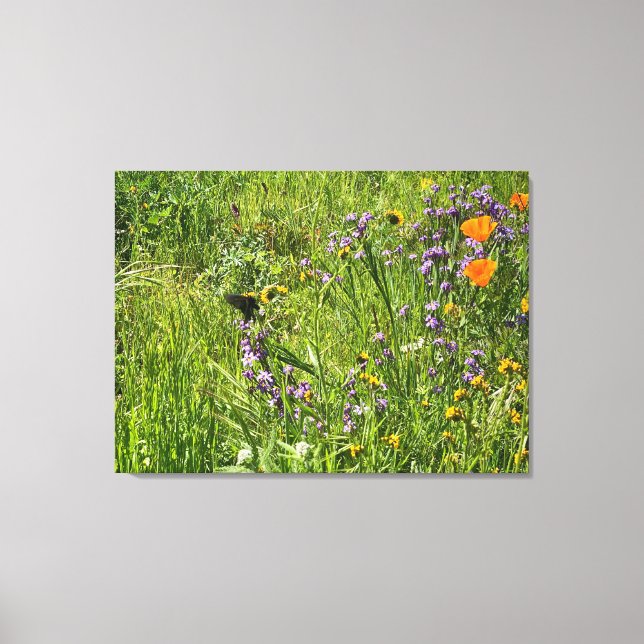 Ein blühendes Kalifornien: Wildblumen Leinwanddruck (Vorderseite)