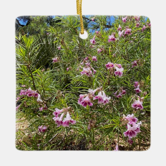 Ein blühendes Kalifornien: Wüste Willow Keramikornament (Vorderseite)