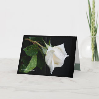 Ein Bogen zum Morgen Karte