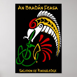 Ein BradÃ - Feasa - Der Lachs des Wissens Poster
