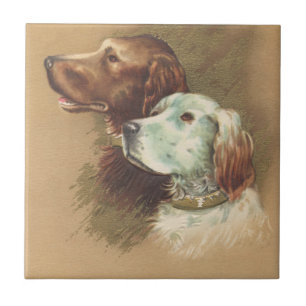 Ein brauner und ein weißer Hund Fliese