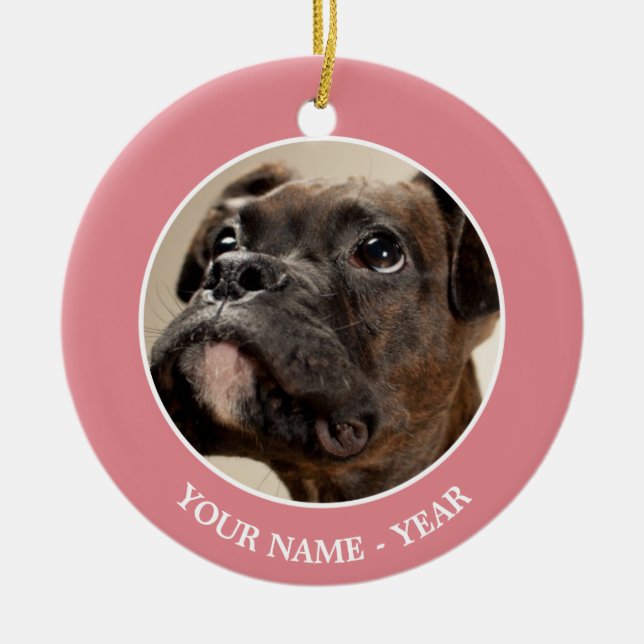 Ein Brindle Boxer Welpe, der neugierig nach oben s Keramikornament (Vorne)