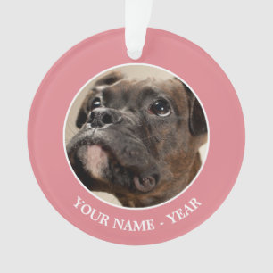 Ein Brindle Boxer Welpe, der neugierig nach oben s Ornament