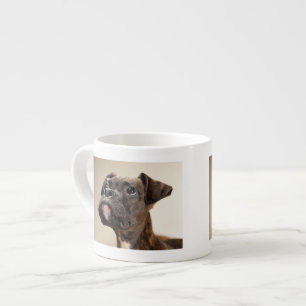 Ein Brindle Boxerwelpe, der oben neugierig schaut Espressotasse