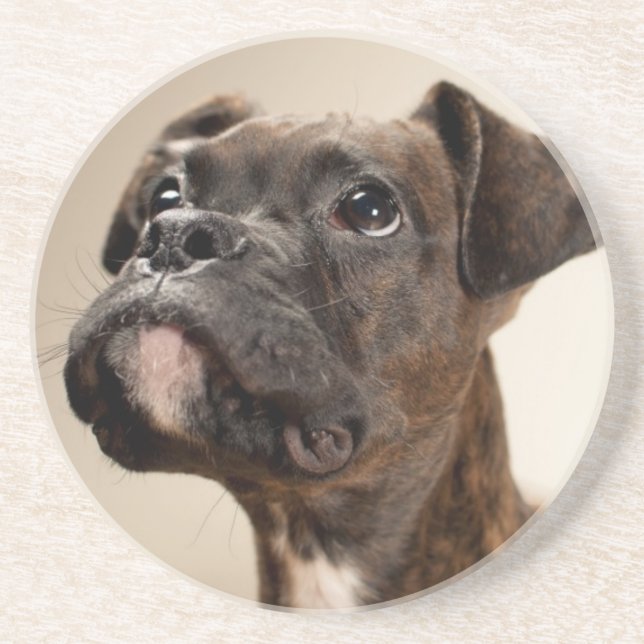 Ein Brindle Boxerwelpe, der oben neugierig schaut Getränkeuntersetzer (Vorne)