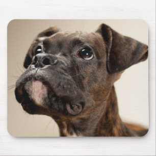 Ein Brindle Boxerwelpe, der oben neugierig schaut Mousepad