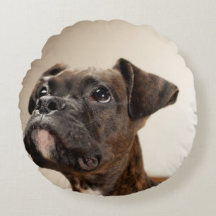 Ein Brindle Boxerwelpe, der oben neugierig schaut Rundes Kissen
