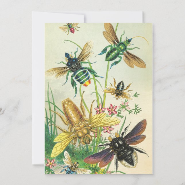 Ein Buzz der Bienen-Party Einladung (Vorderseite)