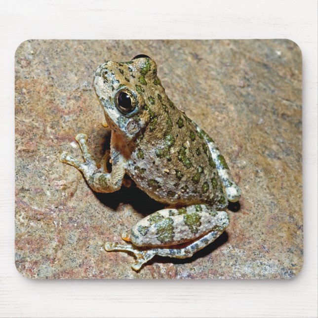 Ein Canyon Treefrog Mousepad (Vorne)