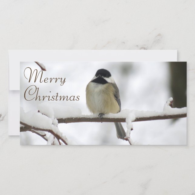 Ein chickadee-Weihnachten Feiertagskarte (Vorderseite)