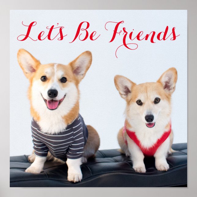 Ein Corgis-Paar auf einer Bank Poster (Vorne)