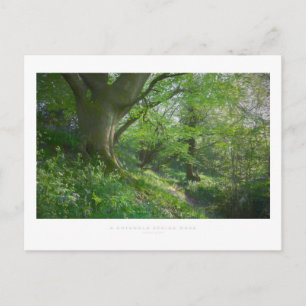 Ein cotswold Spring Wood Postkarte