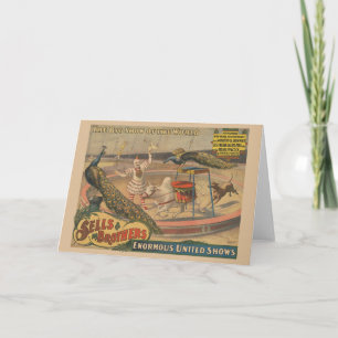 Ein Darstellender Zebu und Pfau mit Clowntrainer Karte