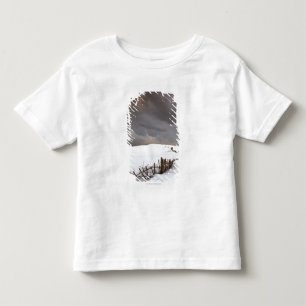 Ein defekter Zaun entlang einer Schnee Kleinkind T-shirt